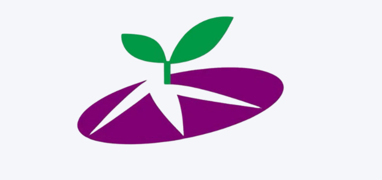 生涯发展课程:走进小苗基金